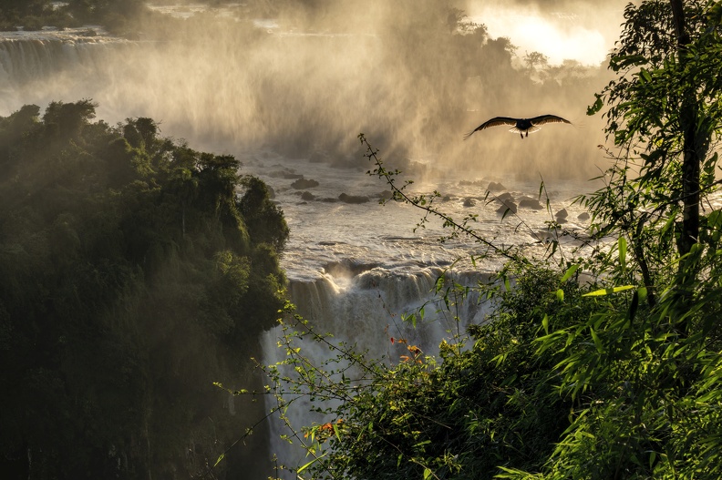 2023_08_Brasilien_Iguazú-Wasserfälle_Bild10.jpg