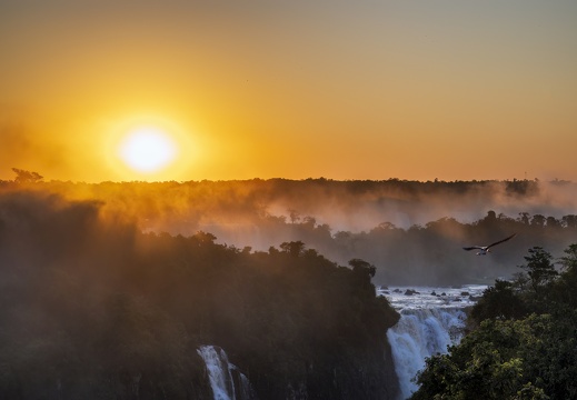 2023 08 Brasilien Iguazú-Wasserfälle Bild18