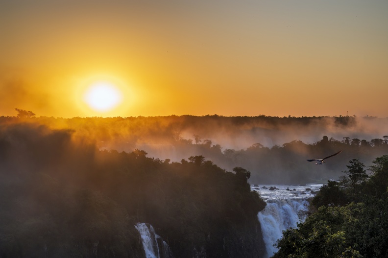 2023_08_Brasilien_Iguazú-Wasserfälle_Bild18.jpg