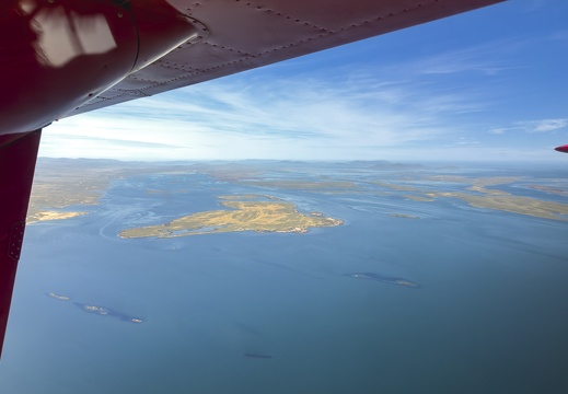 2024 02 Süd Falkland Bleaker Island FIGAS Bild04 web