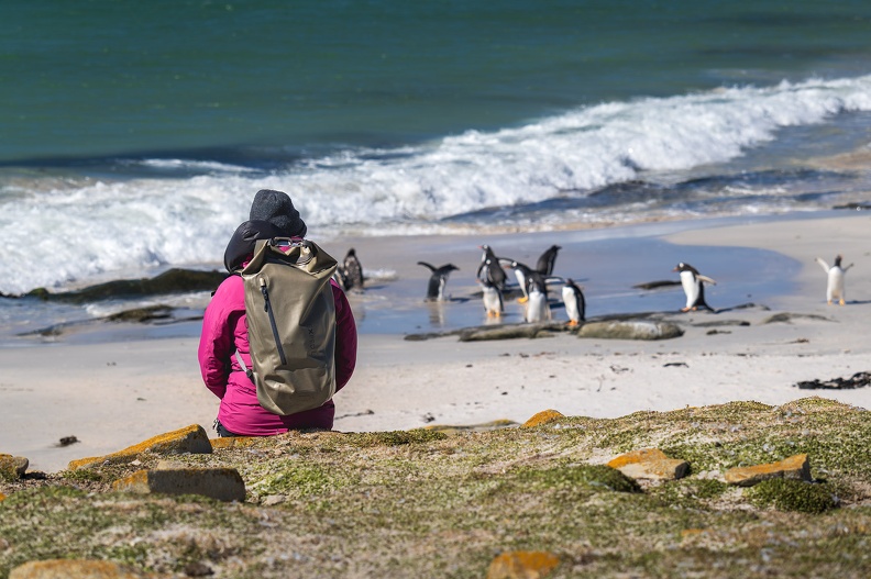 2024_02_Süd Falkland_Bleaker Island_Sandy Bay_Bild28_web.jpg