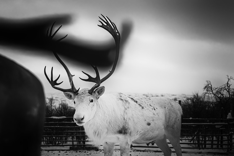 2022_12_Utsjoki_Bild57_web.jpg
