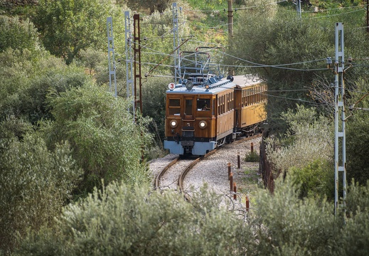 2025 03 Mallorca Gärten von Alfabia Roten Blitz Bild01 web