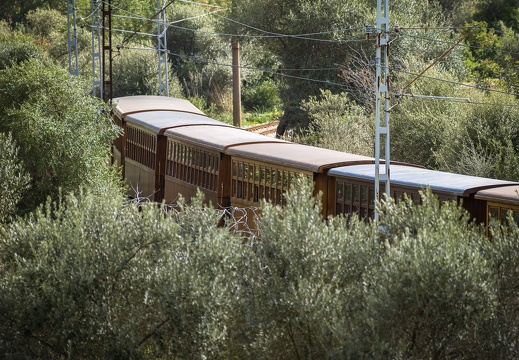 2025 03 Mallorca Gärten von Alfabia Roten Blitz Bild02 web