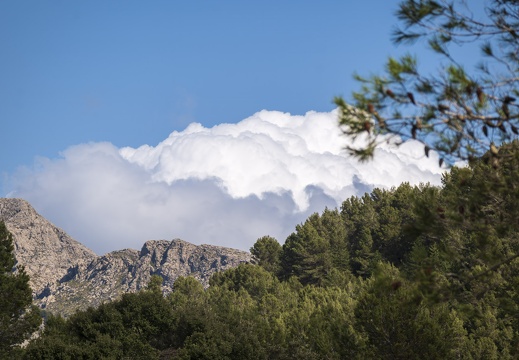 2025 03 Mallorca Mirador Embassament de Cuber Bild01 web