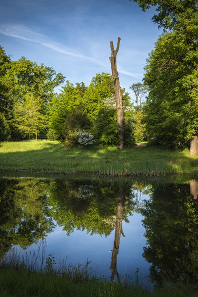 2025_05_Luisium-Wörlitz_Schloss Luisium_Bild05_web.jpg
