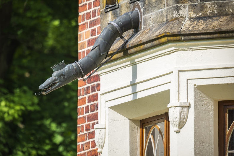 2025_05_Luisium-Wörlitz_Schloss Luisium_Schlangenhaus_Bild03_web.jpg