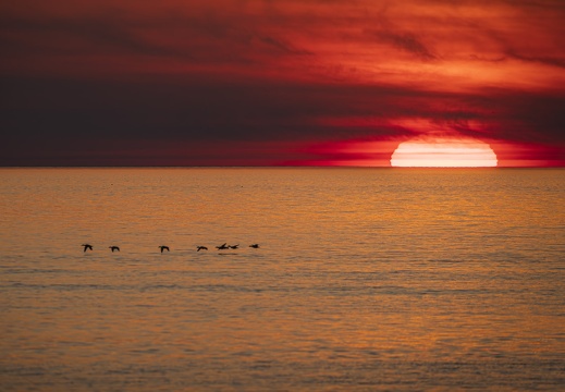 2025 04 Sylt Sonnenuntergang Bild13 web
