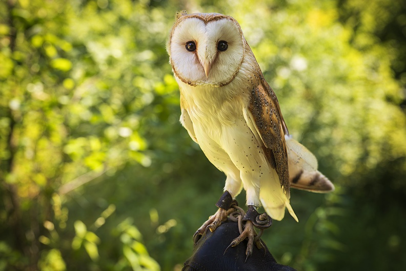 2025_06_Dresden_Wildbirdstories_Bild17_web.jpg