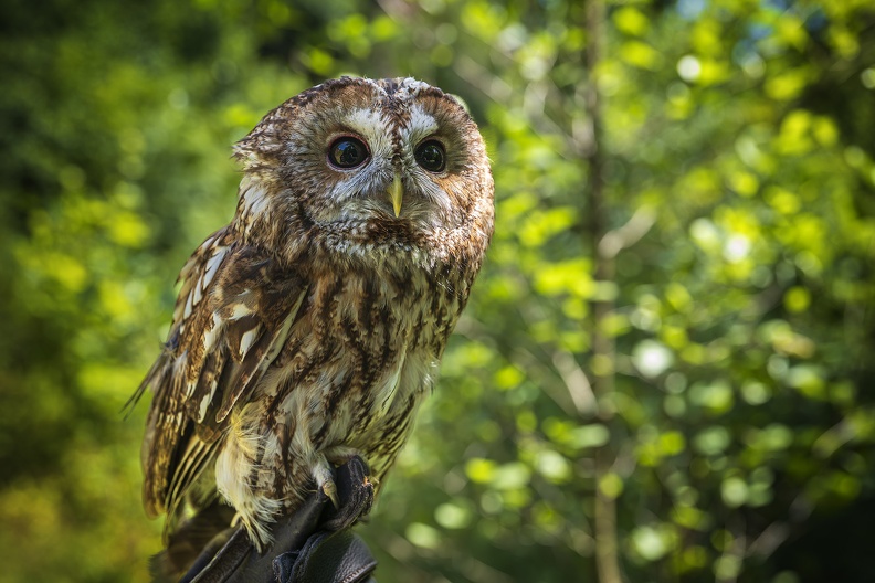 2025_06_Dresden_Wildbirdstories_Bild20_web.jpg
