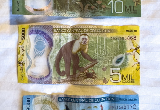 2025 Costa Rica Geld Währung Bild07 web