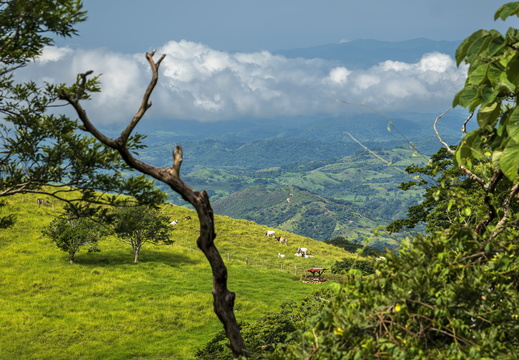 2025 Costa Rica Monteverde Bild01 web
