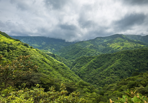 2025 Costa Rica Monteverde Bild04 web