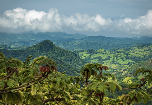 2025 Costa Rica Monteverde Bild05 web