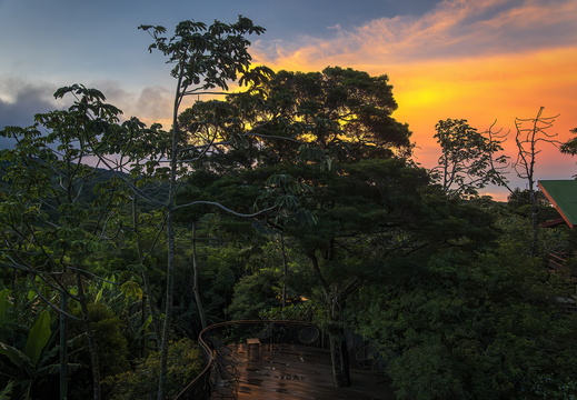 2025 Costa Rica Monteverde Cala Lodge Bild03 web