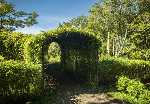 2025 Costa Rica Monteverde Curi-Cancha-Reserve Bild07 web