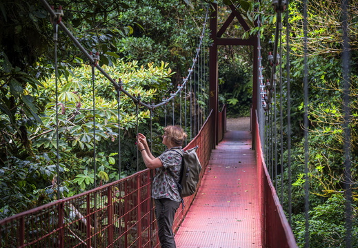 2025 Costa Rica Monteverde Cloud Forest Reserve Bild01 web