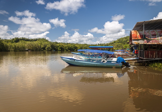 2025 Costa Rica Sierpe Sierpe-River Bild01 web