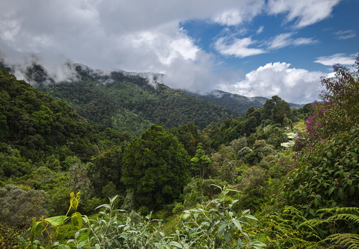 2025 Costa Rica Parque Nacional Los Quetzales Bild06 web