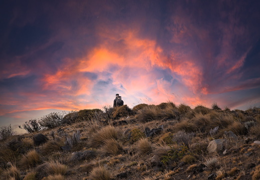 2026 Argentinien Patagonien El Calafate Nationalpark Los Glaciares Bild04 web