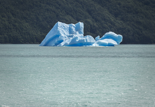 2026 Argentinien Patagonien Nationalpark Los Glaciares Hielo&amp;Aventura Bild24 web