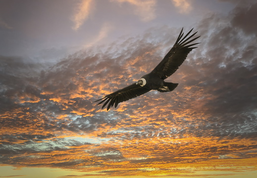 El Calafate Nationalpark Los Glaciares