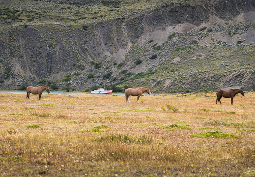 2026 Argentinien Patagonien Estancia Christina Bild46 web