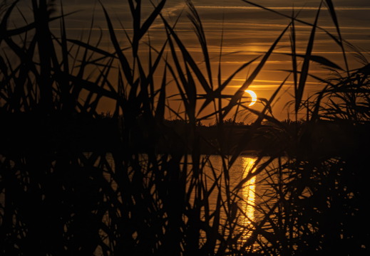 2026 08 Cosudener See Sonnenfinsternis  web