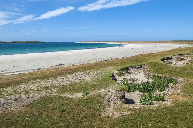 2024_02_Süd Falkland_Bleaker Island_Sandy Bay_Bild26_web.jpg