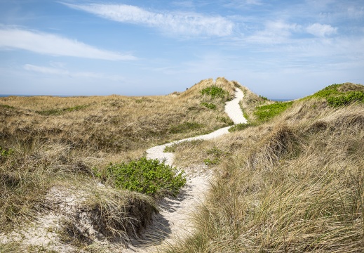2025 04 Sylt List Weststrand Bild02 web