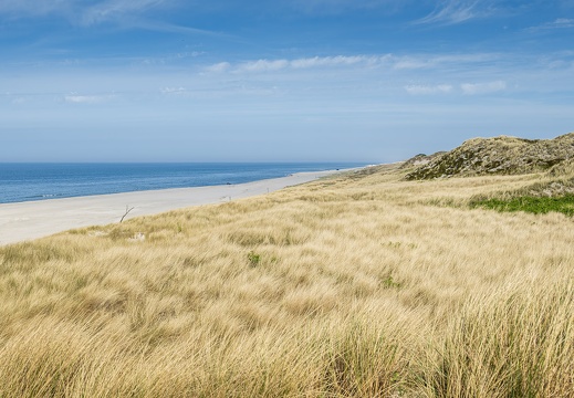 2025 04 Sylt List Weststrand Bild03 web