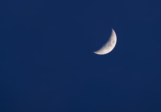 2025 04 Sylt Mond Bild02 web