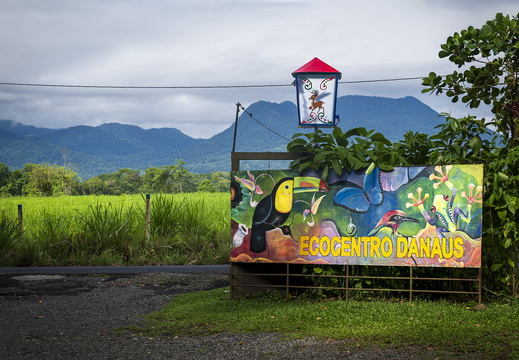 2025 Costa Rica La Fortuna Danaus Bild01 web