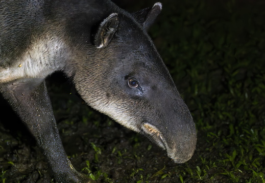 Costa Rica Provinz Guanacaste