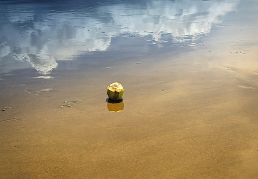 2025 Costa Rica Uvita Marino-Ballena-Nationalpark Bild08 web