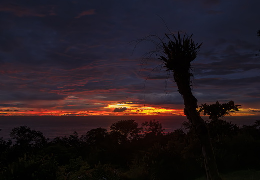 2025 Costa Rica Uvita Marino-Ballena-Nationalpark Bild15 web