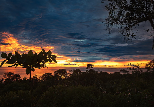 2025 Costa Rica Uvita Marino-Ballena-Nationalpark Bild16 web