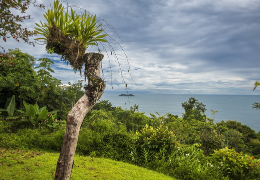 2025 Costa Rica Uvita Marino-Ballena-Nationalpark Bild01 web