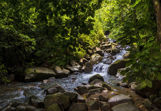 2025 Costa Rica Uvita Marino-Ballena-Nationalpark Bild05 web