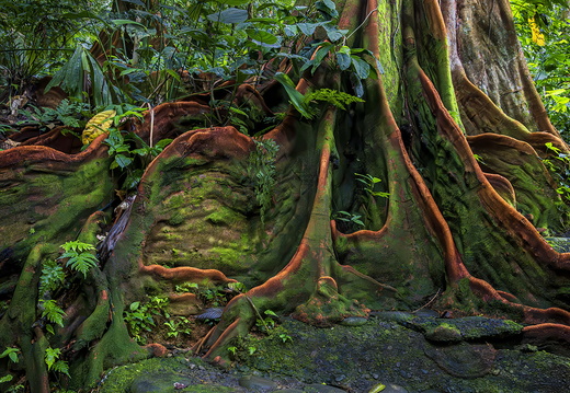 2025 Costa Rica Uvita Marino-Ballena-Nationalpark Bild06 web
