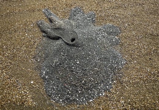 2025 Costa Rica Uvita Marino-Ballena-Nationalpark Bild01 web